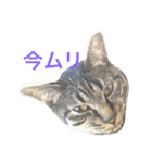 俺達のミミちゃん（個別スタンプ：4）