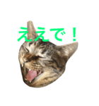 俺達のミミちゃん（個別スタンプ：8）