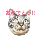 俺達のミミちゃん（個別スタンプ：12）