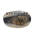 俺達のミミちゃん（個別スタンプ：13）