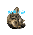 俺達のミミちゃん（個別スタンプ：14）