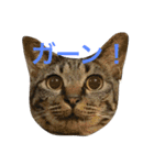 俺達のミミちゃん（個別スタンプ：15）