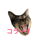 俺達のミミちゃん（個別スタンプ：18）