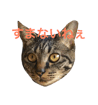 俺達のミミちゃん（個別スタンプ：23）