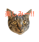 俺達のミミちゃん（個別スタンプ：26）