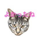 俺達のミミちゃん（個別スタンプ：32）