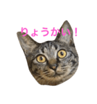 俺達のミミちゃん（個別スタンプ：35）