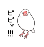 みんなのふくふく文鳥3（個別スタンプ：6）