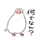 みんなのふくふく文鳥3（個別スタンプ：11）