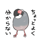 みんなのふくふく文鳥3（個別スタンプ：13）