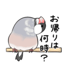 みんなのふくふく文鳥3（個別スタンプ：15）