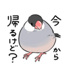 みんなのふくふく文鳥3（個別スタンプ：16）