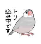 みんなのふくふく文鳥3（個別スタンプ：21）