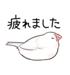 みんなのふくふく文鳥3（個別スタンプ：23）