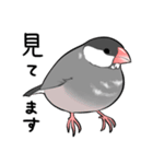 みんなのふくふく文鳥3（個別スタンプ：31）