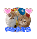 ねこまーち うに＆いくら ラブリーズ（個別スタンプ：4）