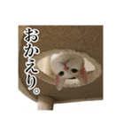 うめとびわのスタンプ（個別スタンプ：1）