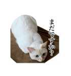 うめとびわのスタンプ（個別スタンプ：2）