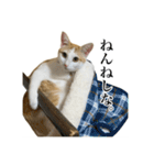 うめとびわのスタンプ（個別スタンプ：10）