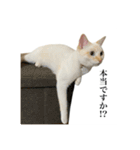 うめとびわのスタンプ（個別スタンプ：11）