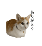 うめとびわのスタンプ（個別スタンプ：12）