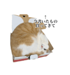 うめとびわのスタンプ（個別スタンプ：14）
