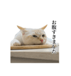 うめとびわのスタンプ（個別スタンプ：15）