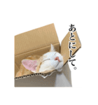 うめとびわのスタンプ（個別スタンプ：16）