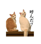 うめとびわのスタンプ（個別スタンプ：20）