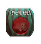 うめとびわのスタンプ（個別スタンプ：21）
