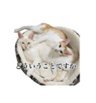 うめとびわのスタンプ（個別スタンプ：24）