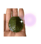 かもちゃんちのカメ（個別スタンプ：16）