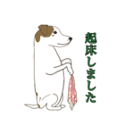 15匹の丁寧犬（個別スタンプ：5）