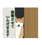 15匹の丁寧犬（個別スタンプ：6）