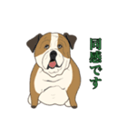 15匹の丁寧犬（個別スタンプ：9）