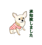 15匹の丁寧犬（個別スタンプ：10）