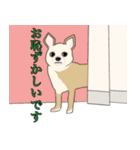 15匹の丁寧犬（個別スタンプ：23）