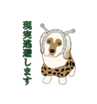 15匹の丁寧犬（個別スタンプ：33）