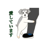 15匹の丁寧犬（個別スタンプ：34）