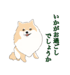 15匹の丁寧犬（個別スタンプ：37）