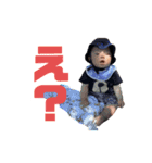 ao to ao to ao（個別スタンプ：20）