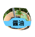 月山線スタンプ句順句きゅりニ（個別スタンプ：6）