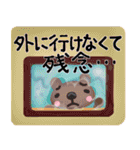 【雨の日】連絡せよ！☆家族・役員向け（個別スタンプ：30）