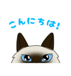 さんとら隊+α すたんぷ！（個別スタンプ：4）