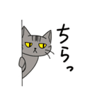 さんとら隊+α すたんぷ！（個別スタンプ：5）