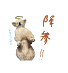 りんとゆうのスタンプ10（個別スタンプ：4）