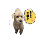 りんとゆうのスタンプ10（個別スタンプ：8）