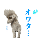 りんとゆうのスタンプ10（個別スタンプ：11）