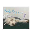 りんとゆうのスタンプ10（個別スタンプ：12）