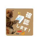 レイ君 みんなで使おう敬語スタンプ（個別スタンプ：19）